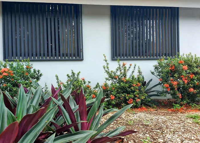 Apartamento El5 - Cozy Jungle Loft Close To Tamarindo And Surf Beaches Santa Rosa (Tamarindo)